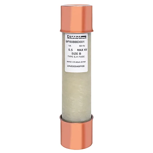 1 Amp fuse rated for 25/60Hz and 15.5KV