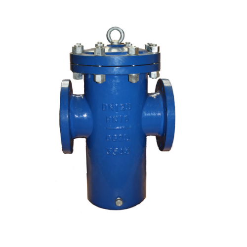 3/4 FNPT Simplex Filter