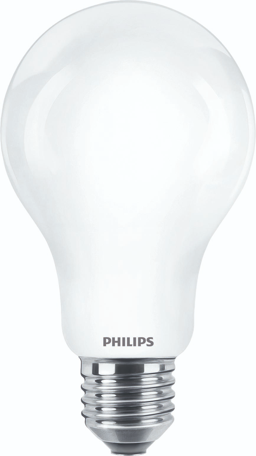 16W Philips LED Lamp
