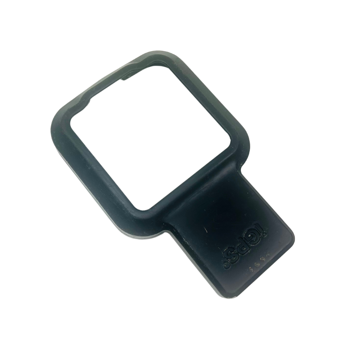 IGPS Module