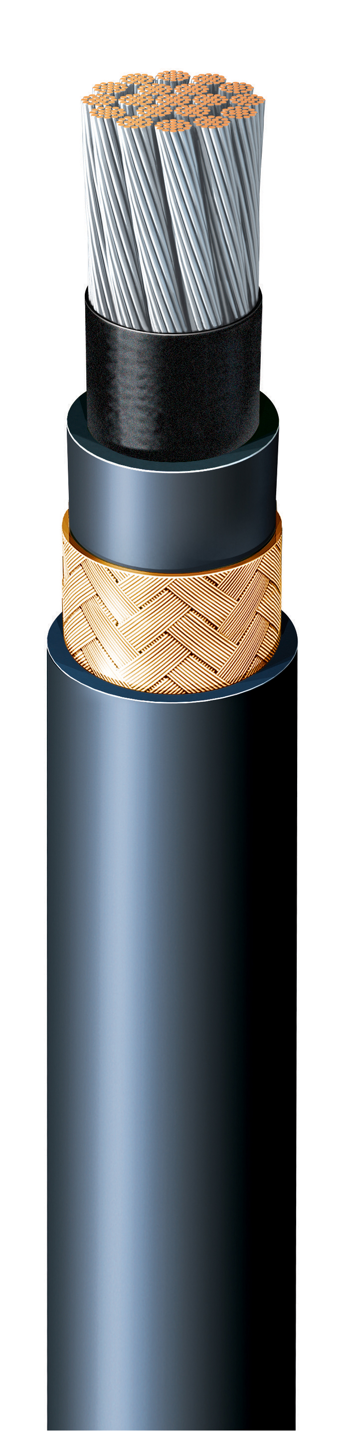 ICC P-1C10 Type P cable