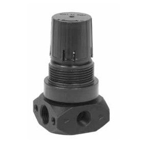 1/4" 0-125 PSIG Regulator