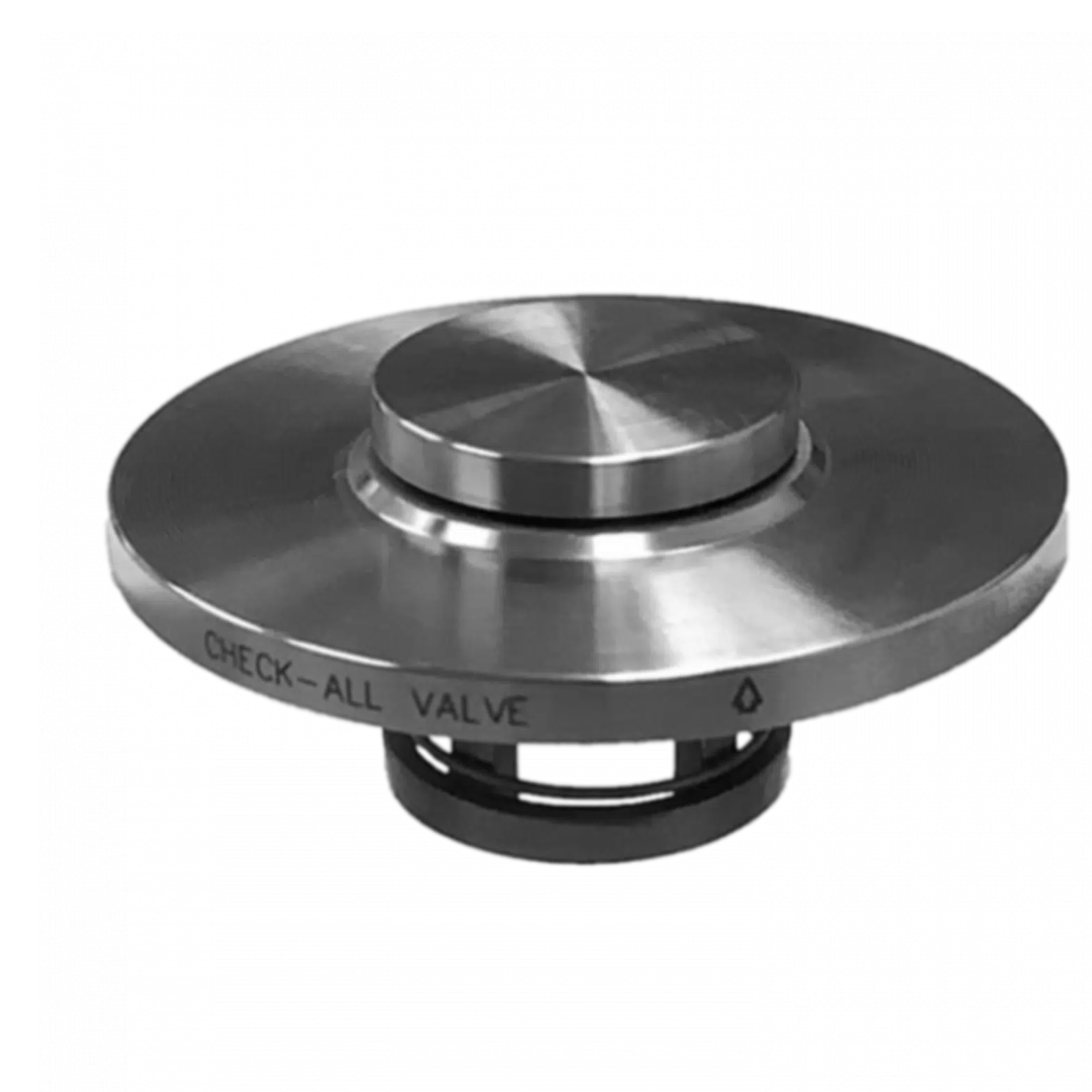 Flange Insert Check Valve