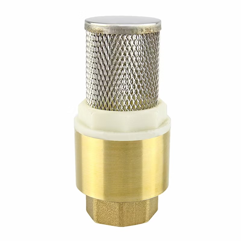 1 1/2 Inch Manual Check Valve