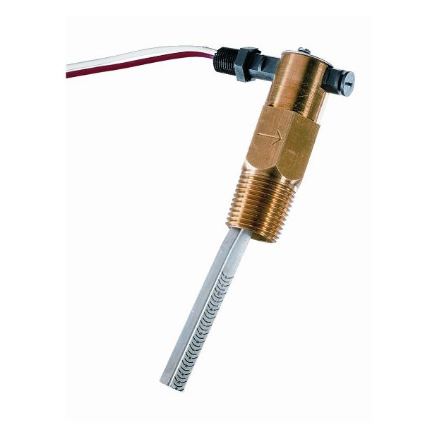1 Inch FNPT Flow Switch with Tee Mounted Paddle