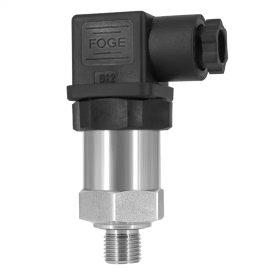 Pressure Switch 304SS 1/2 MNPT