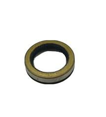Outboard DE Bearing Oil Seal