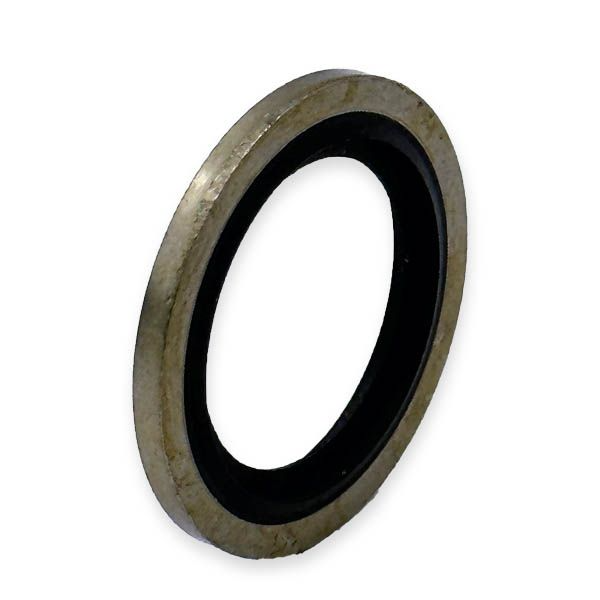 2 Inch BSP Bonded Seal AISI316