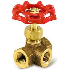 1/4 Inch FNPT Globe Valve