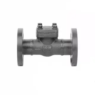 2 300LB Raised Face Control Valve Assembly