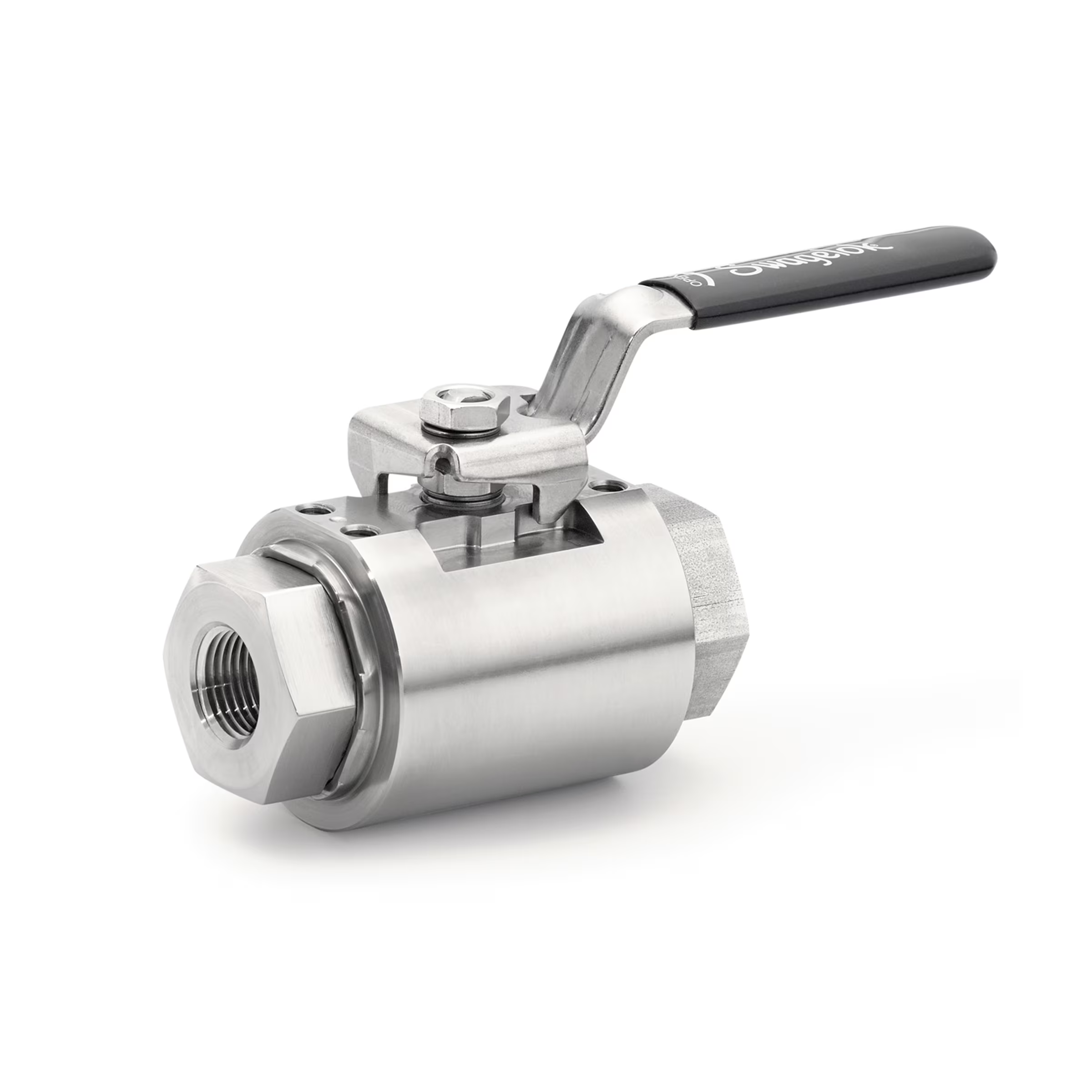 2 Inch FNPT Stainless Steel Ball Valve