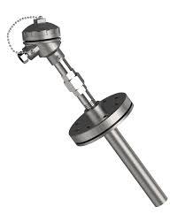 Dual Element Platinum RTD with Thermowell