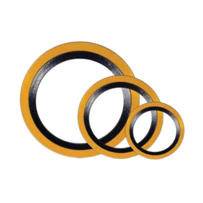 6 Inch Gasket with Inner Ring
