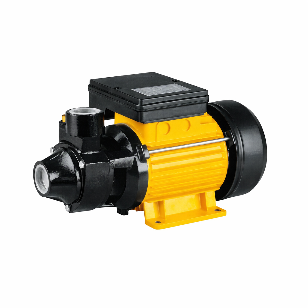 Service Water Pumps