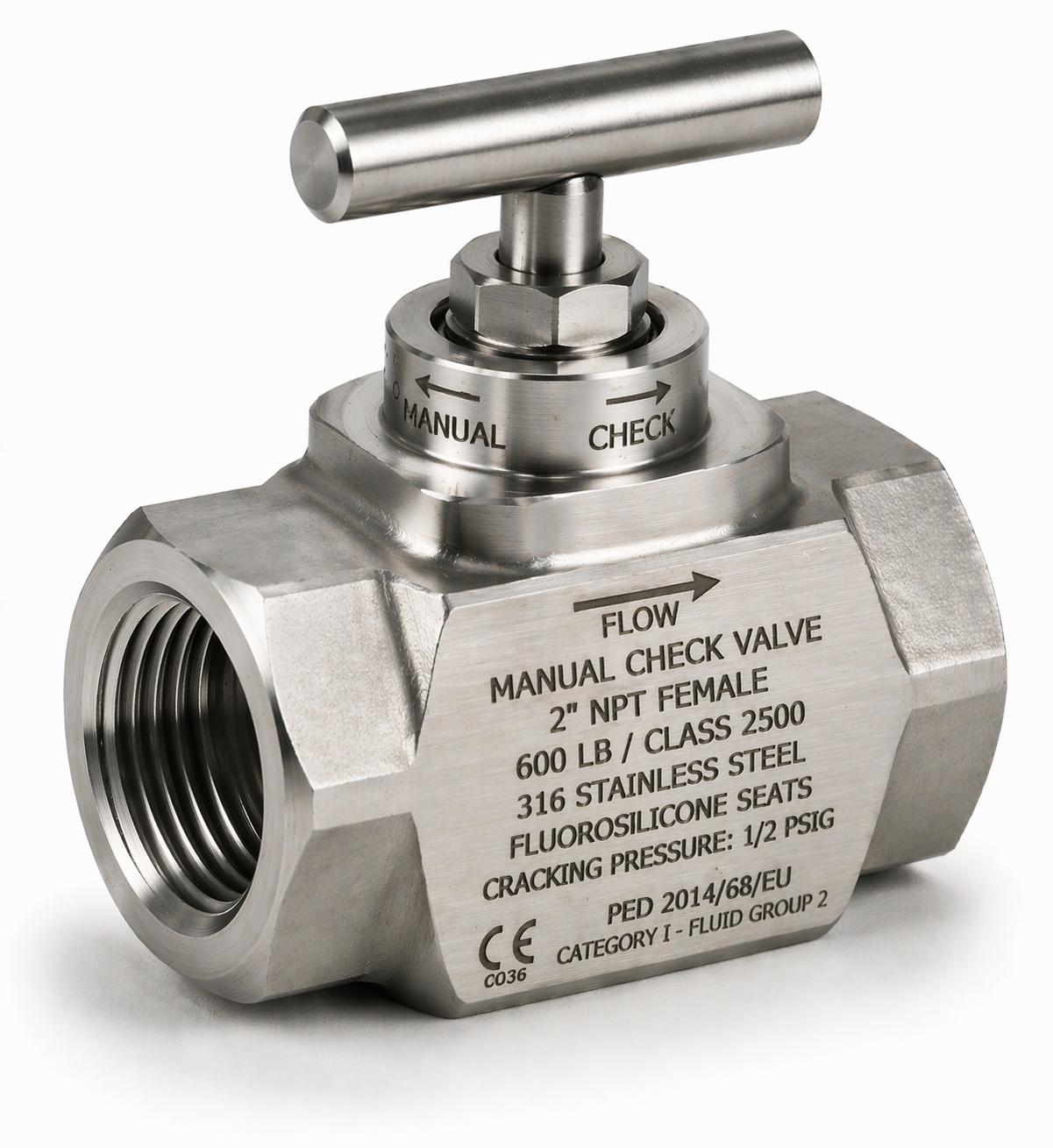 2-Inch/600LB Manual Check Valve