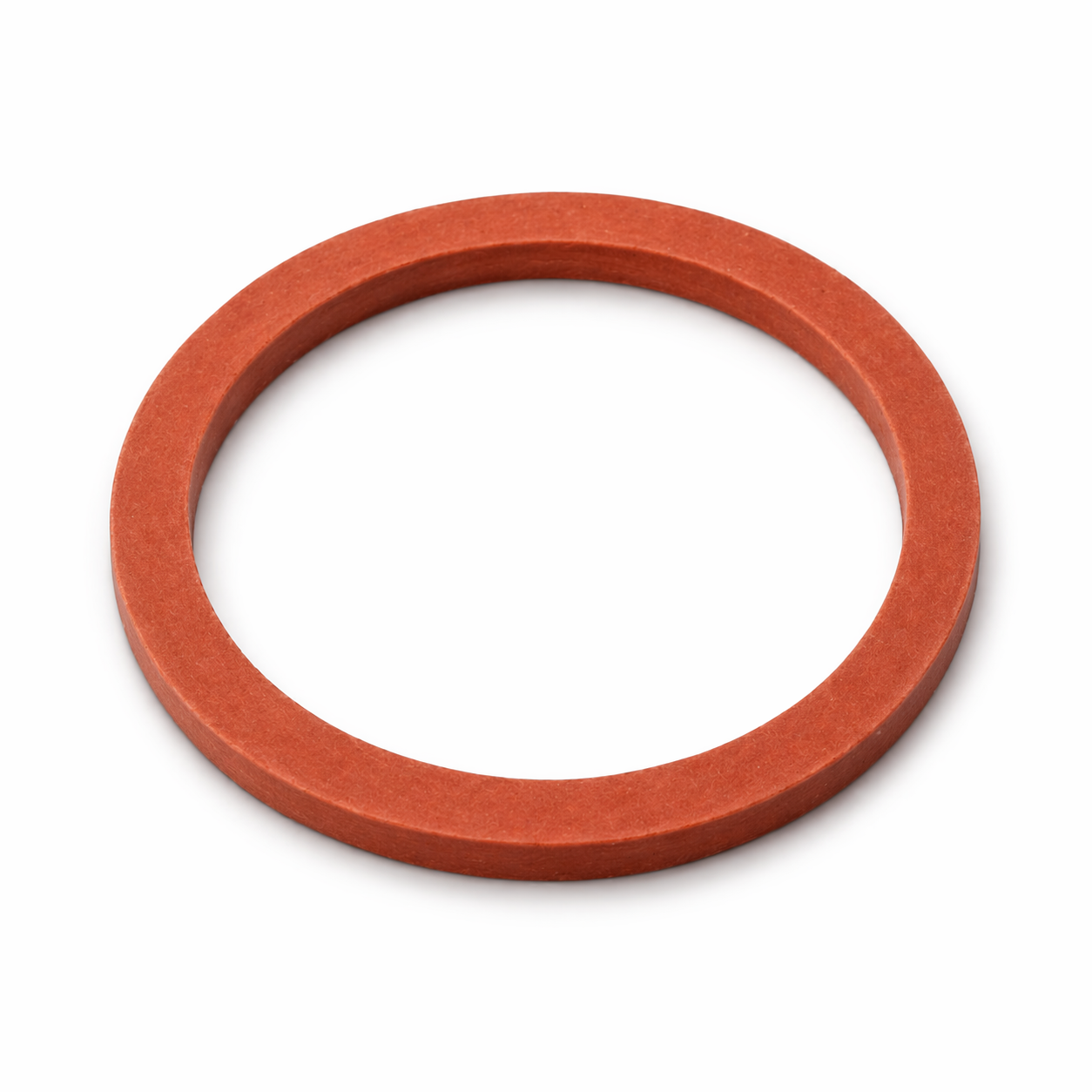 Fuel Filter Gasket