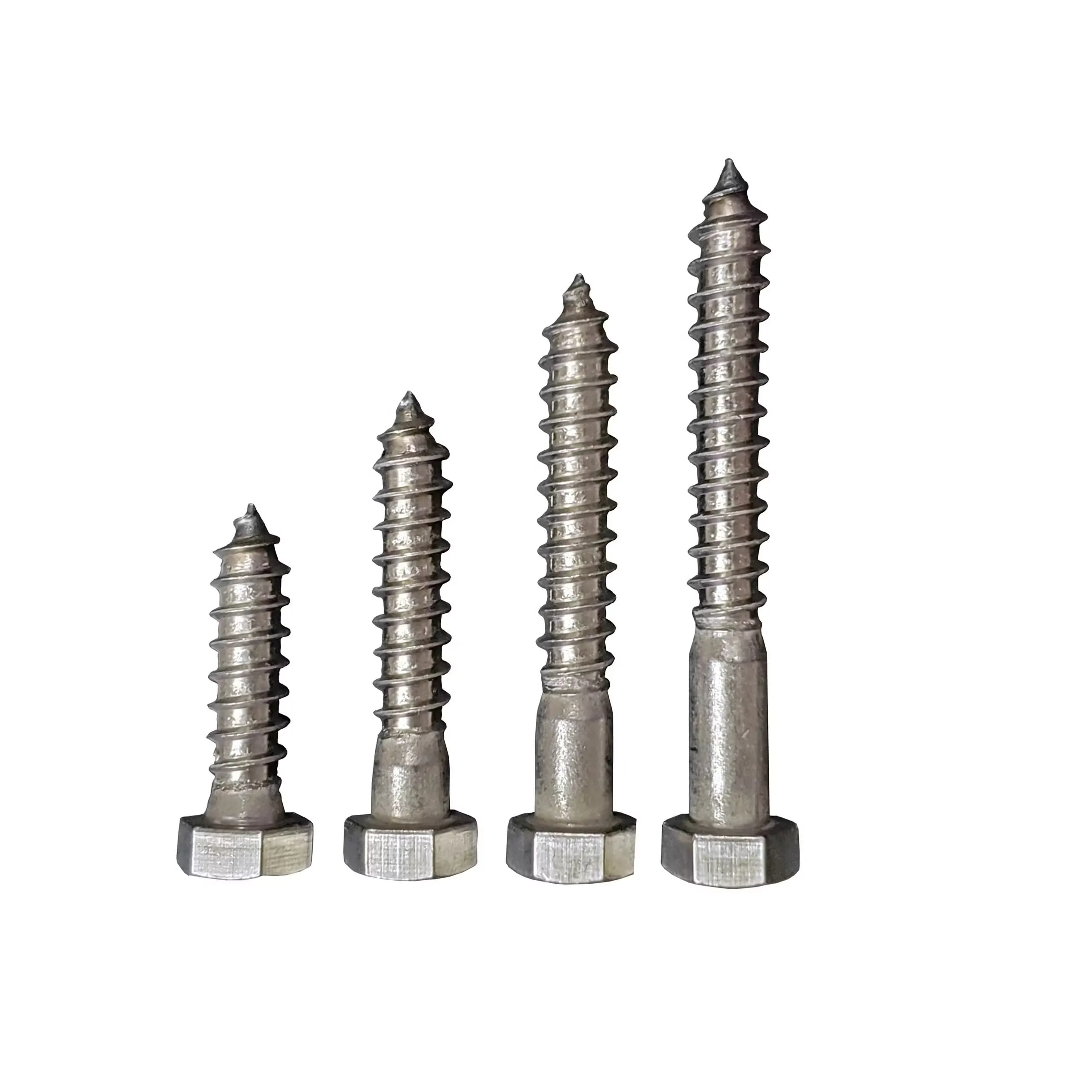 Metallics hexagon-type lag bolt