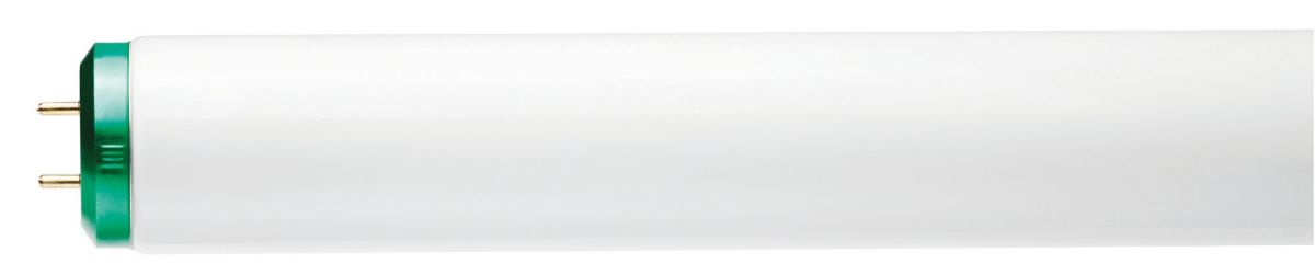 Fluorescent Lamp Philips Alto Fluorescent