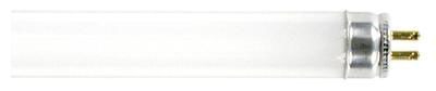 F15T8/Cw Linear Fluorescent Lamp