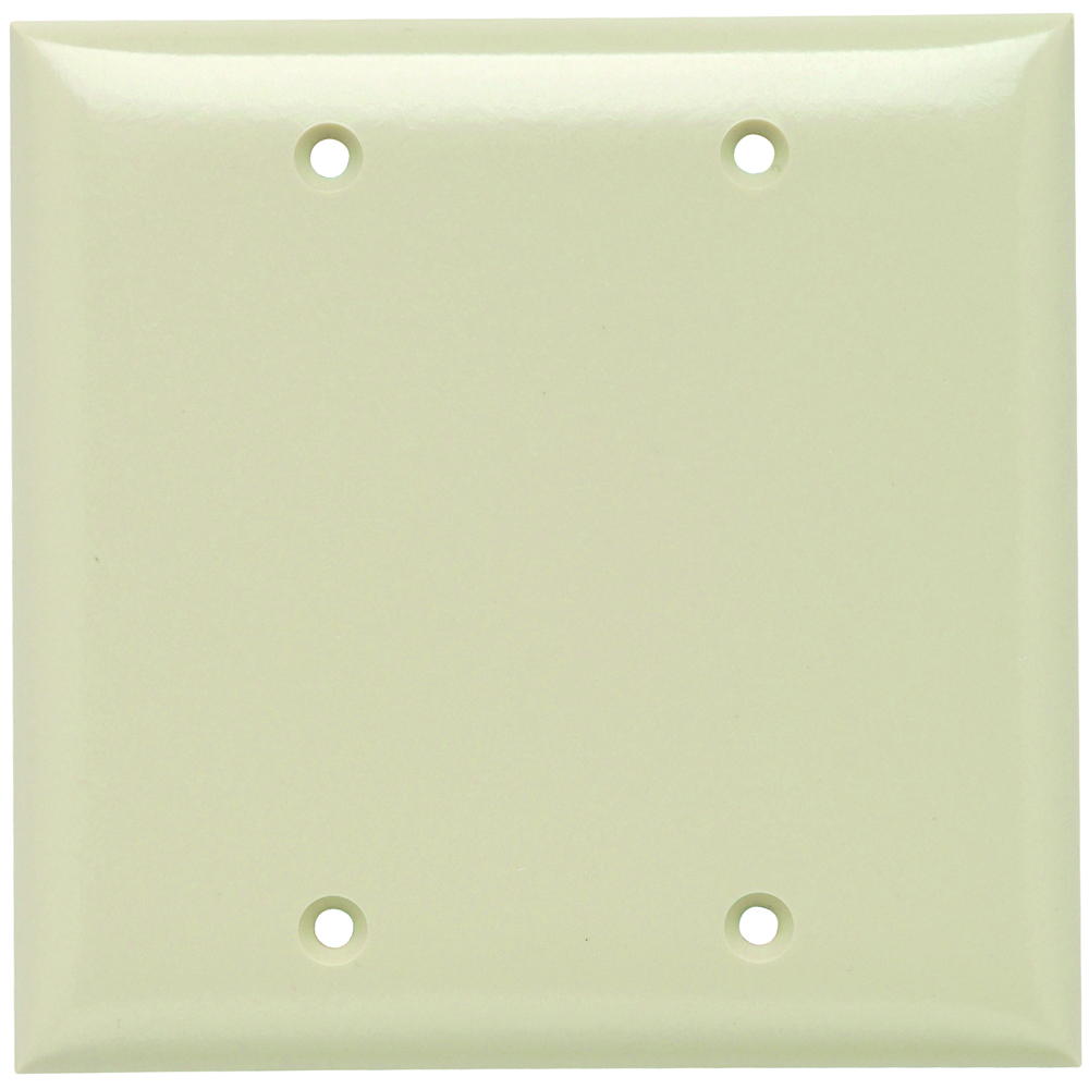 Standard Blank Wallplate Pass  Seymour