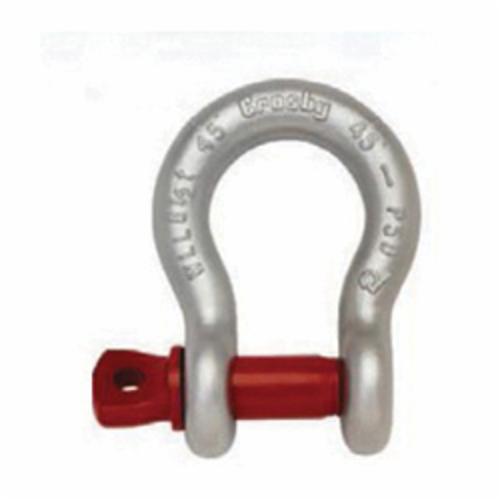 Anchor Shackle