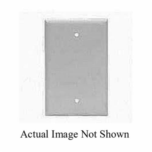 Jumbo Blank Wallplate