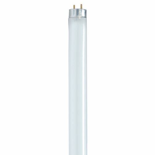 Linear Fluorescent Lamp