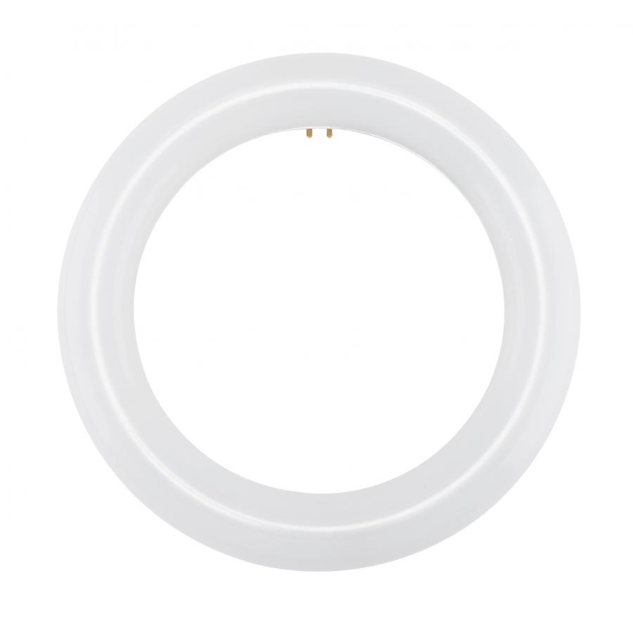 Type-B Non-Dimmable Replacement Circline Fluorescent