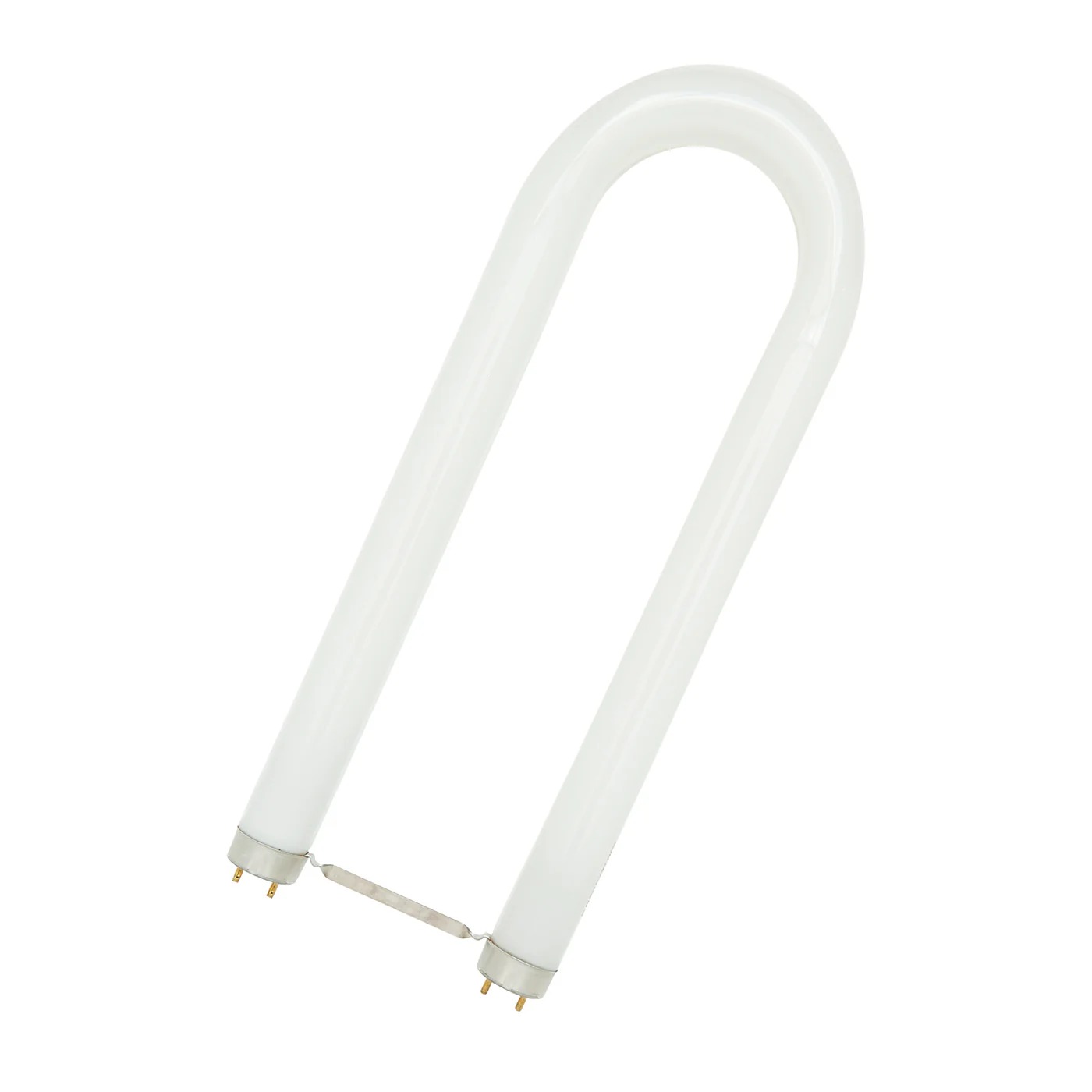 U-Shaped Fluorescent Lamp