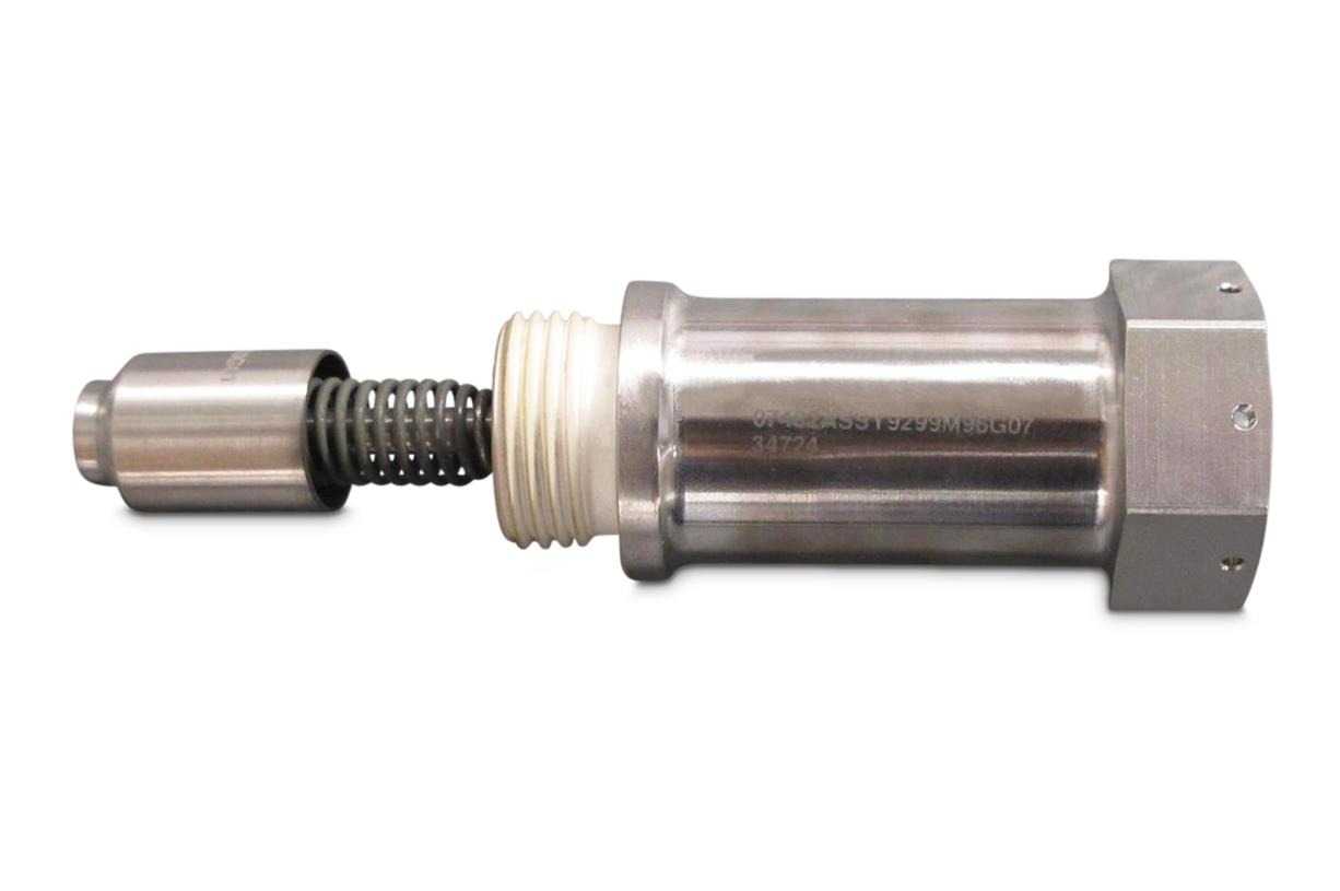 Borescope Plug Assembly